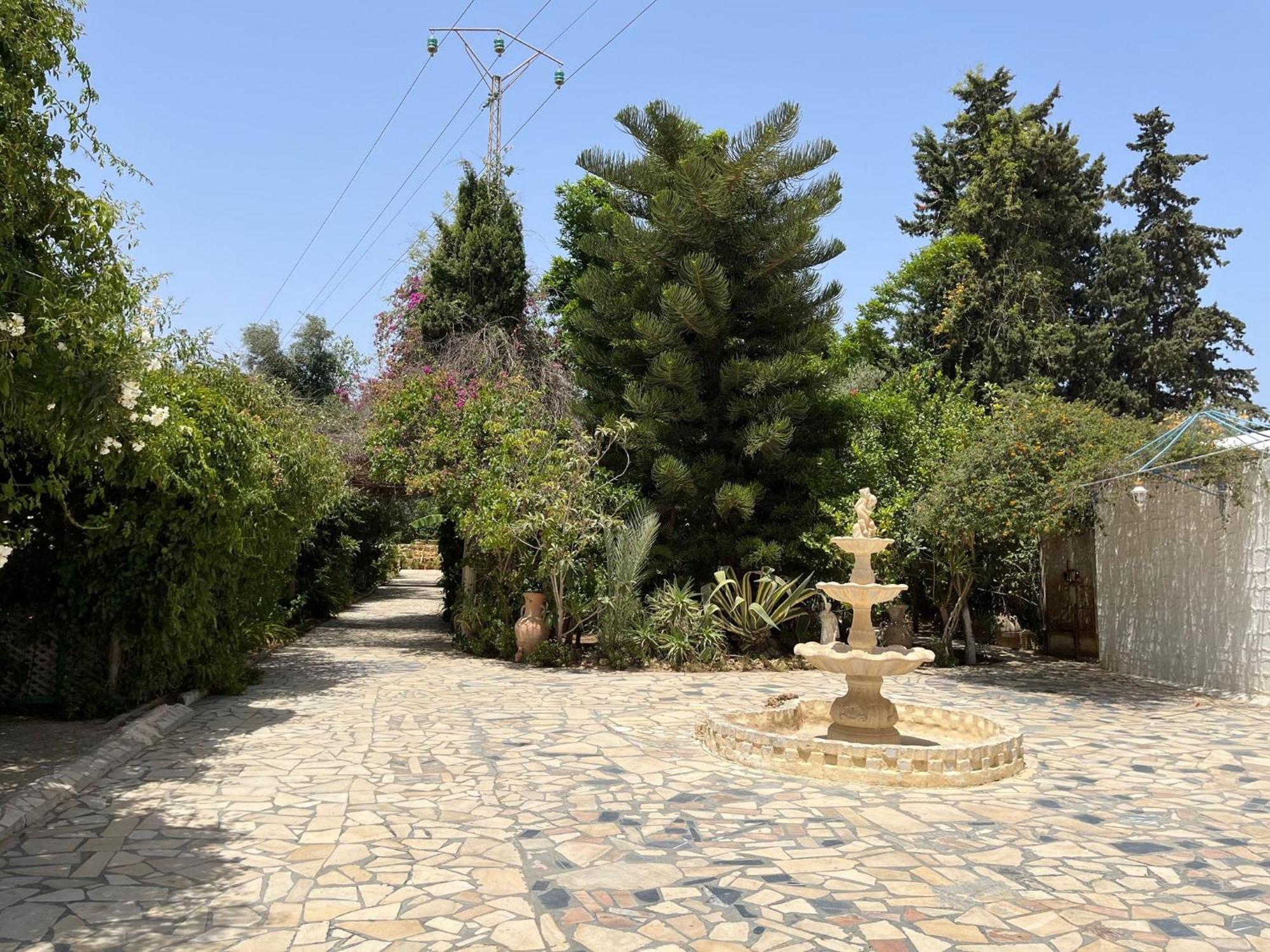 מלון האממט Dar Beldi מראה חיצוני תמונה
